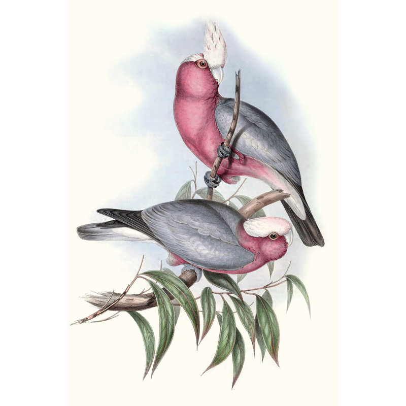 Pastel Parrots III - Painting, 91 cm H x 61 cm W, Wrapped Canvas