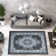 Ramsel Oriental Indoor Rug