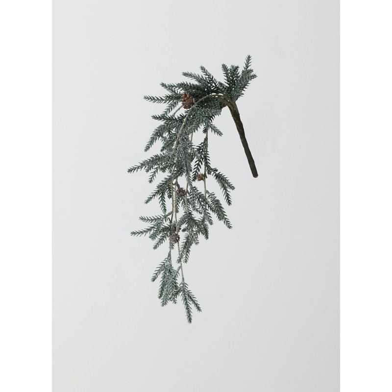 Buissons de sapin de neige