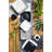 Eclipse 17.5cm Ceramic Appetiser Plate-88136134