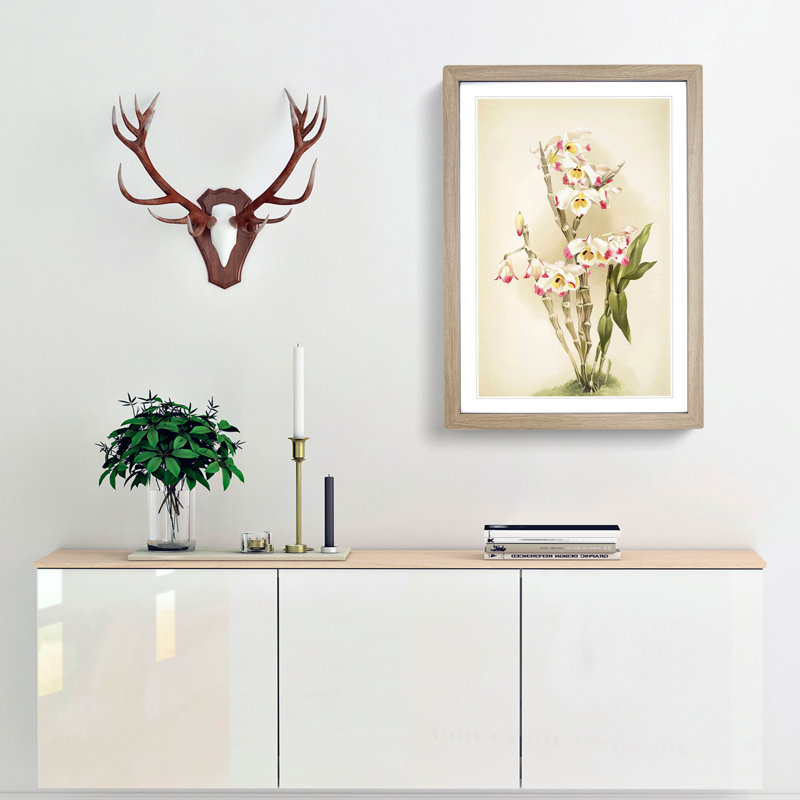 Magnolia Flowers Illustration Tab. 9 by Frederick Sander - Picture Frame Painting Print, 91cm H x 60cm W x 2cm D, Oak