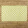 Besaw Chevron Wool Hand Woven Area Rug
