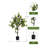 47'' Faux Lemon Tree in Pot