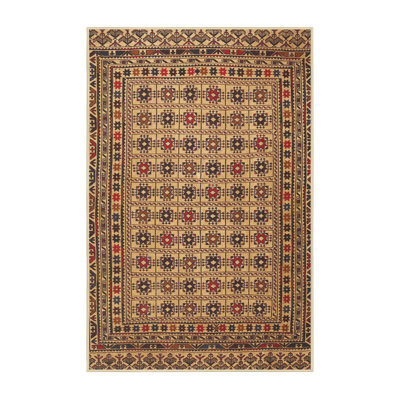 Southwestern Indoor Rug