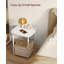 Rondez Pedestal End Table