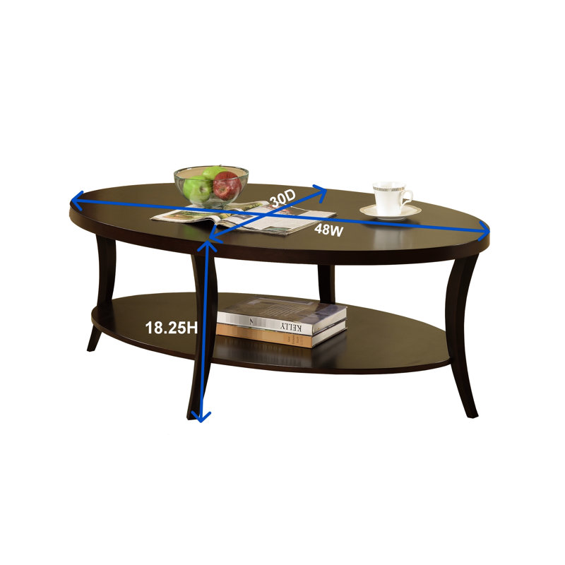 Table basse ovale en placage de bois et tablette, l 48 po x P 30 po H 18,12 po, ajoute une touche décorative avec placage de bouleau, largeur 48 po, profondeur 30 po, hauteur 18,12 po, élégante pour la pièce