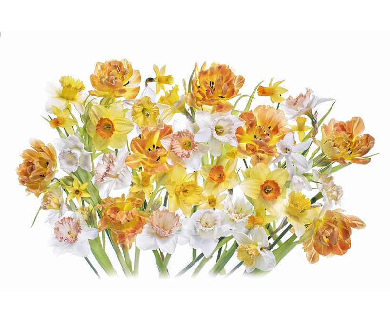Wrapped Canvas Print, 50.8 cm H x 76.2 cm W