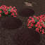 Stone Nautical & Beach Stepping Stone-61752380-61830043