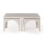 Amara Nesting Coffee Table-1023060432