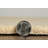 Rhodes Light Beige Machine Woven Wool Berber with Hand Serged Edging Area Rug-16363190
