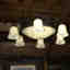 Photos des clients 2 de 2