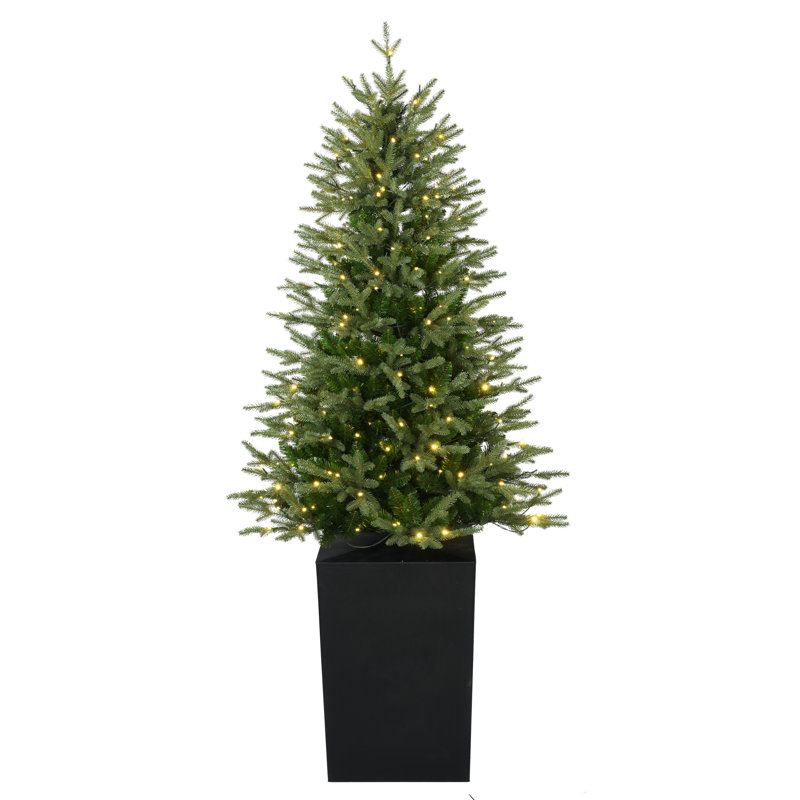 Sapin de Noël illuminé 80,3 pi