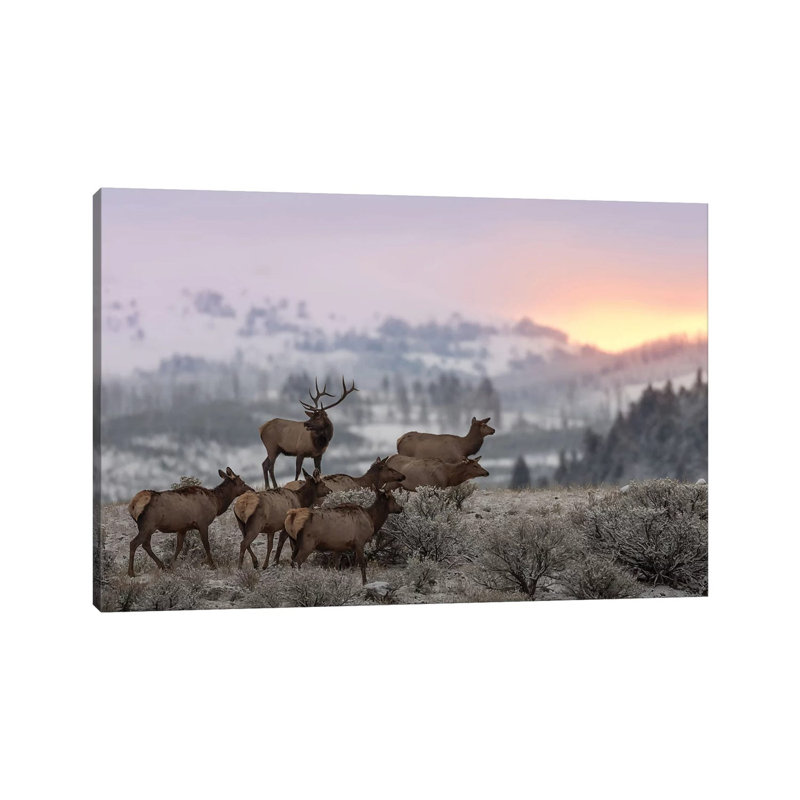 First Light by Nick Kalathas - Print on Canvas, Wrapped Canvas, 45.72cm H x 66.04cm W x 3.81cm D