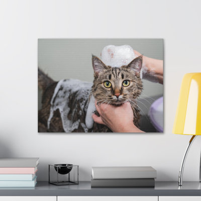 No Frame Print on Canvas