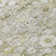 Kaylani Washable Floral Indoor / Outdoor Rug