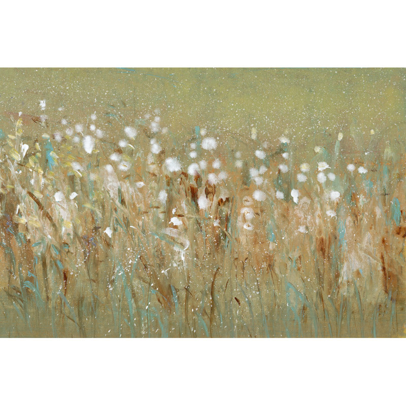 Meadow Blossoms I by Tim OToole - Wrapped Canvas Print, 30cm H x 46cm W x 3.8cm D