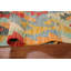Tapis 5 pi 10 po x 4 pi 1 po