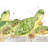 Small Aquatic Turtles Polyester Placemat | Bedroom Decor