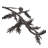 Jahmar Armed Sconce