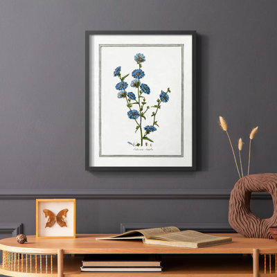 Soft Botanical I Framed Print - Solid Wood