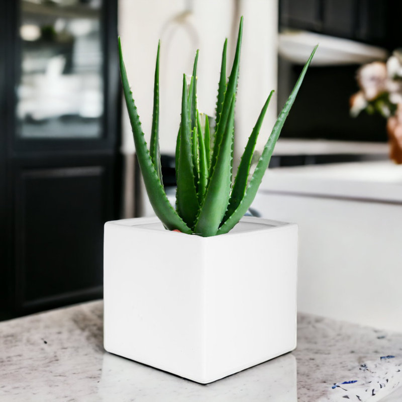 Boîte à fleurs carrée en céramique Lonsdale, H 8 po x l 8 po x P 8 po, Blanc