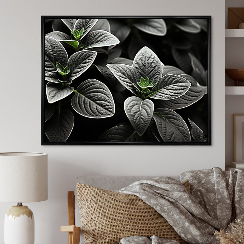 Plantes grises, sérénité botanique sur toile, H 30 po x l 40 po x P 1,5 po, Cadre flottant noir