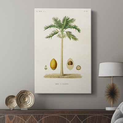 Arbre antique avec fruit II - galerie Cavas