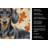 Black and Tan Dachshund Heirloom Fall Kitchen Towel-1218231108