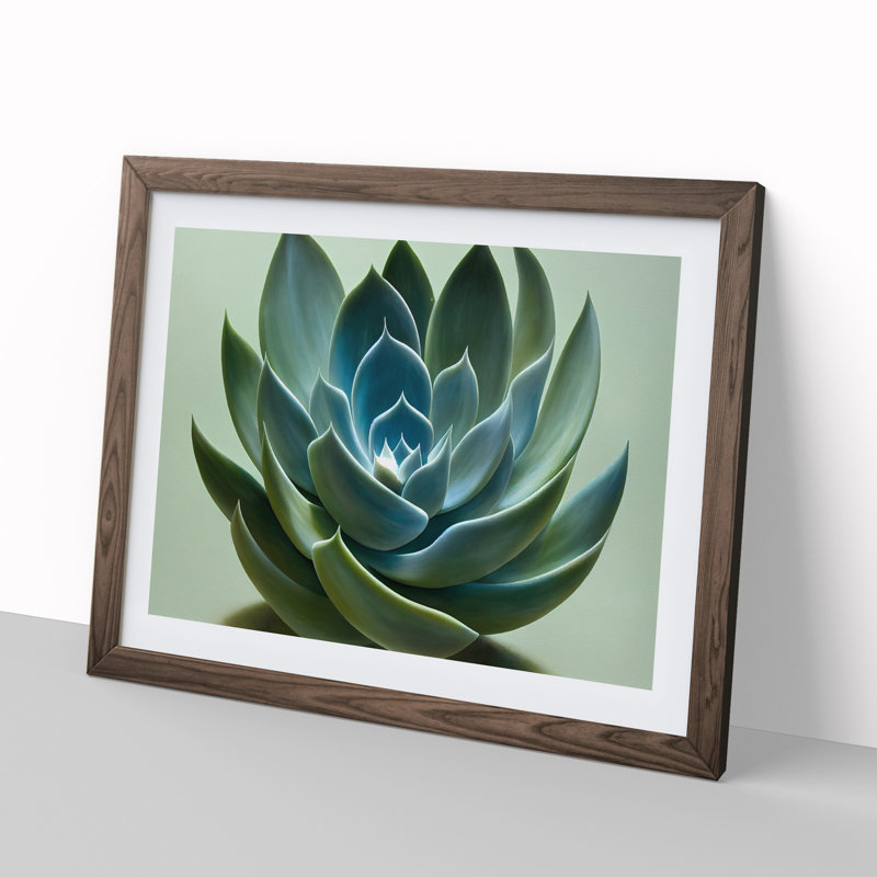 Graceful Succulent Plant - Single Picture Frame Print, Walnut Framed, 46cm H x 64cm W x 2cm D