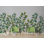 Papier peint amovible avec feuilles vertes et plantes de jardin