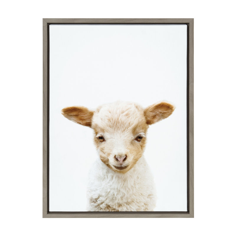 "Animal Studio Lamb" par Amy Peterson, reproduction d'art sur toile encadrée, Cadre gris