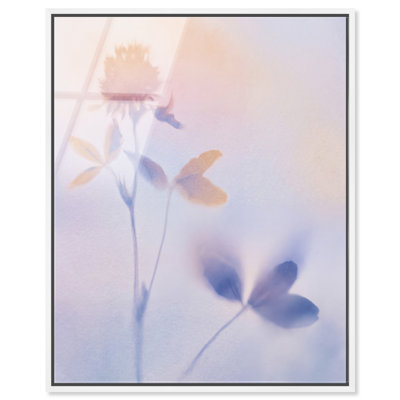 Lavender Shadows II Print