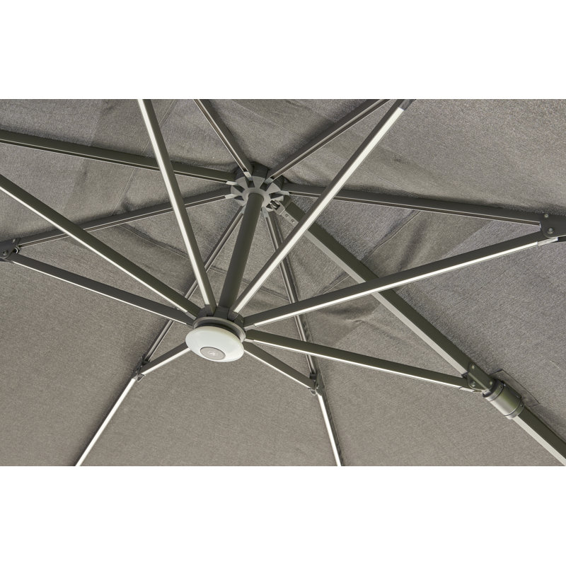 Pranet - Royce 3m Square Cantilever, Carbon