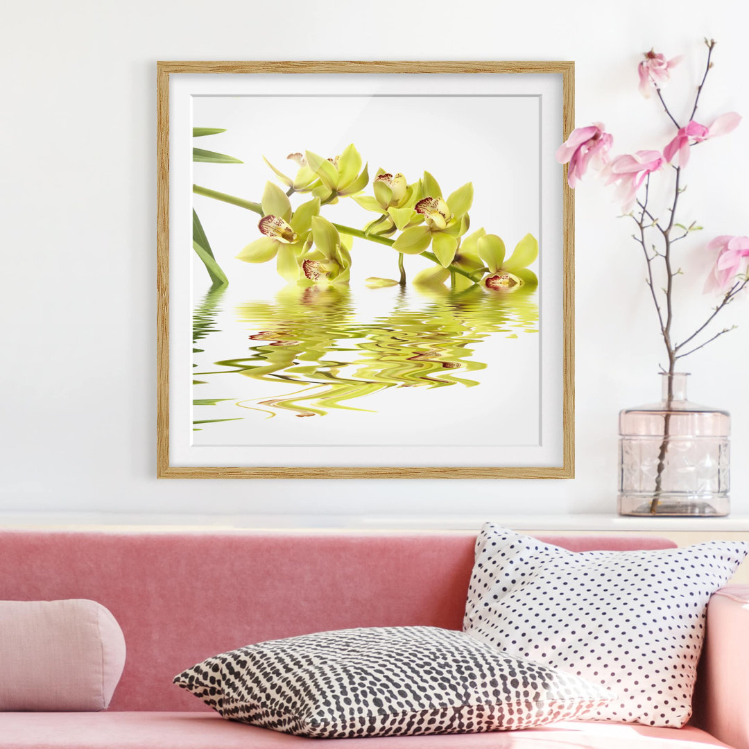 Gerahmter Kunstdruck Elegant Orchid Waters