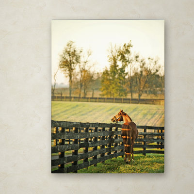 «Kentucky Horse Sunrise», reproduction de photo sur toile tendue