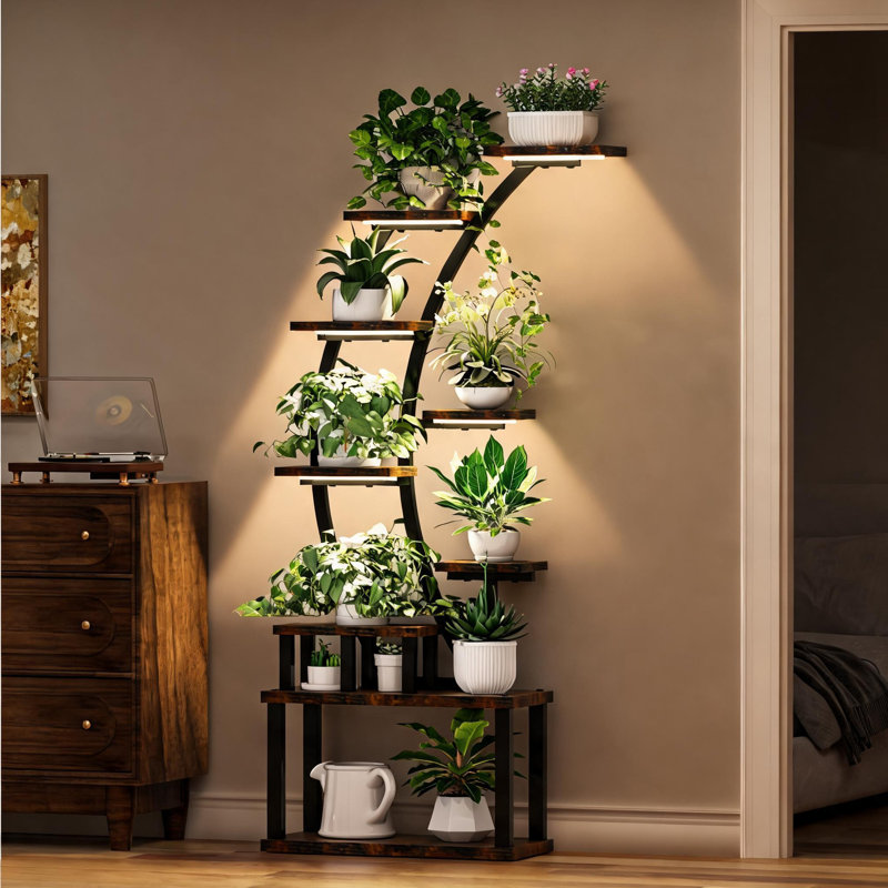 Support pour plante d'intérieur à 63 étages de 63,6 pouces de hauteur en MDF brun chaud et en métal, avec lumière pour la croissance des plantes, étagère de présentation incurvée