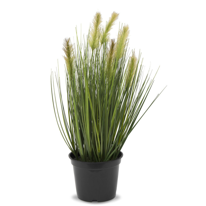 57 cm H Faux Pampas Grass Plant in Earthenware Pot