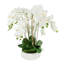 Orchid Arrangement in a Round Ceramic Vase