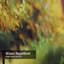 Rideau de douche avec 12 crochets Autumn City Park Trees-1909017369
