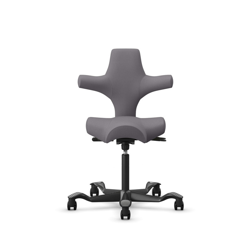 Chaise à hauteur standard réglable HœG Capisco, Gris, Noir, Standard
