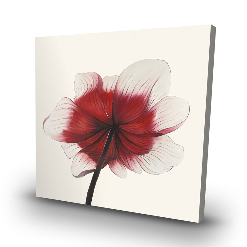 Anemone flower - 32"x32" art on canvas