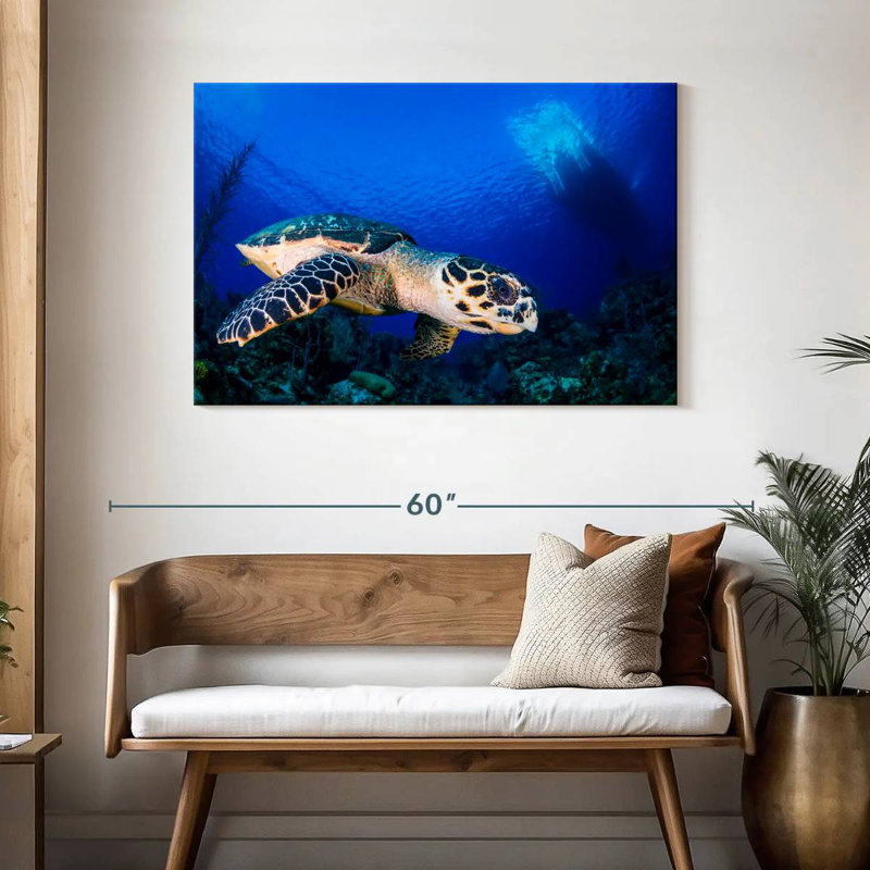 Brampt Underwater Hawksbill Turtle
