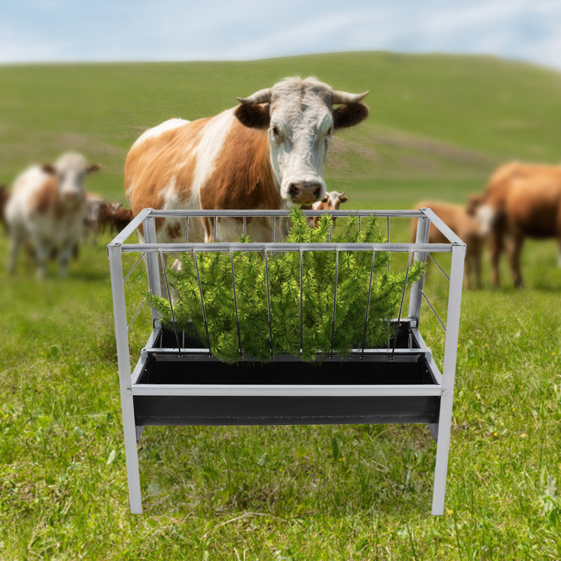 Mangeoire à grain grande capacité 2 en 1 pour chèvre mouton