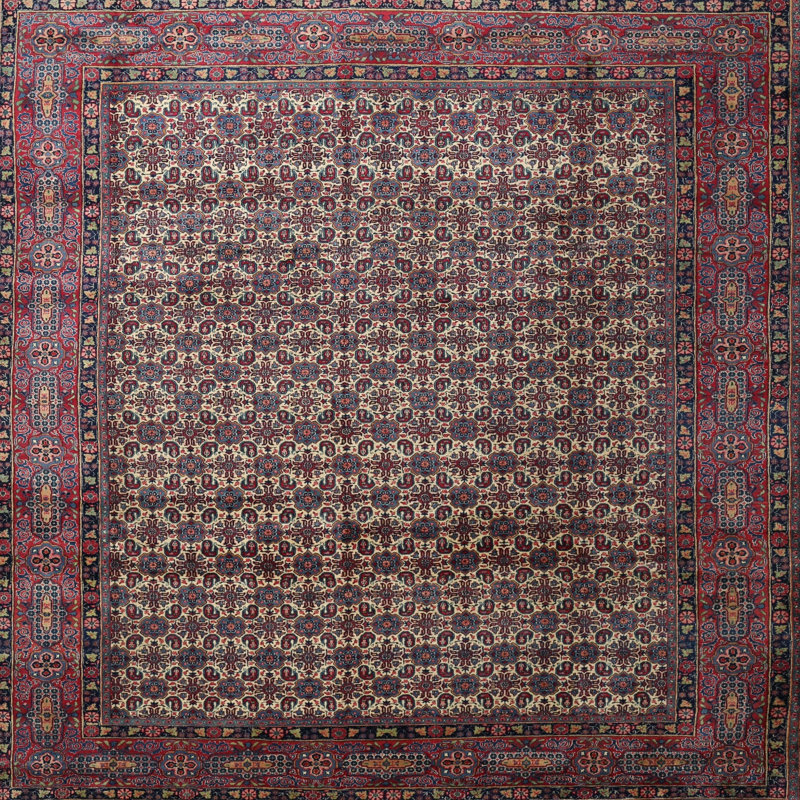 Zichichi Oriental Indoor Rug, Round 6'