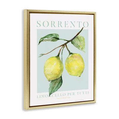 «Sorrento Lemon Branch», art mural encadré flottant par Reinders