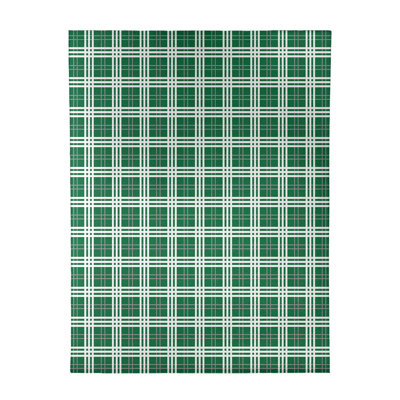 Plaid Indoor Rug