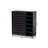Arielle 24 Pair Shoe Storage Cabinet-67825885