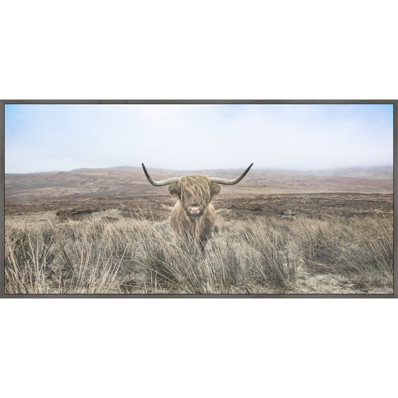 «Bétail sur une colline» par Marmont Hill - reproduction à cadre flottant, Toile, Noir, L 24 po x H 12 po