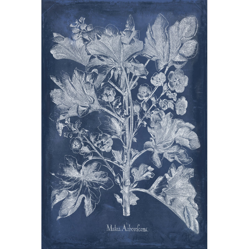 Besler Leaves In Indigo II - Wrapped Canvas Print, 30cm H x 20cm W x 3.8cm D