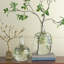 Vase en verre transparent avec motif botanique vert et or, 16,5 po